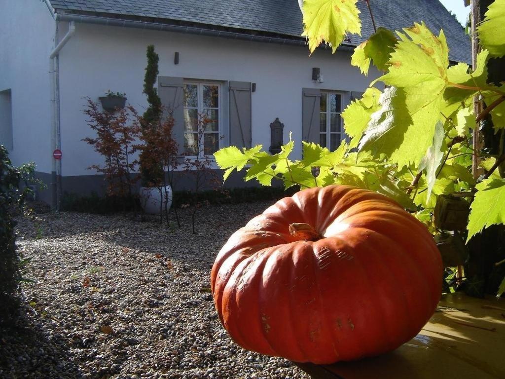 Gite Cottage D'Hamicourt Aux Portes De La Baie De Somme Zewnętrze zdjęcie